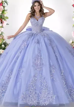 Plus Sized Quince Dresses^LizLuo Quinceanera 26132