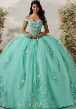 Plus Sized Quince Dresses^LizLuo Quinceanera 56548