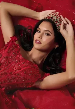 Plus Sized Quince Dresses^LizLuo Quinceanera 56548