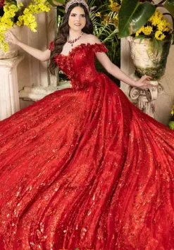 Sweet Sixteen|Plus Sized Quince Dresses^LizLuo Quinceanera 80006