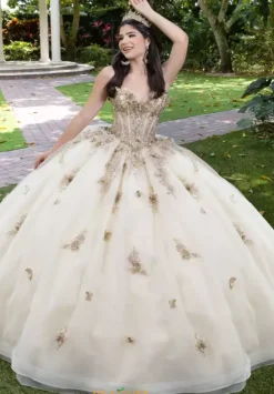 Sweet Sixteen|Plus Sized Quince Dresses^LizLuo Quinceanera 56525