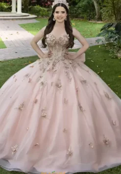 Sweet Sixteen|Plus Sized Quince Dresses^LizLuo Quinceanera 56525