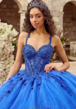 Plus Sized Quince Dresses^LizLuo Quinceanera 80053