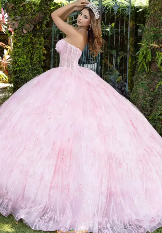 Plus Sized Quince Dresses|Sweet Sixteen^LizLuo Quinceanera 56528