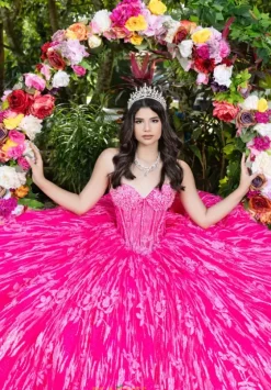 Plus Sized Quince Dresses|Sweet Sixteen^LizLuo Quinceanera 56528