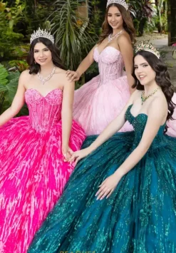 Plus Sized Quince Dresses|Sweet Sixteen^LizLuo Quinceanera 56528