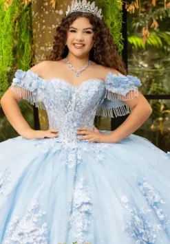 Plus Sized Quince Dresses|Sweet Sixteen^LizLuo Quinceanera 80047