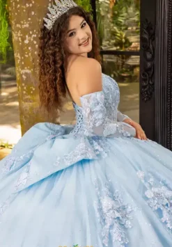 Plus Sized Quince Dresses|Sweet Sixteen^LizLuo Quinceanera 80047