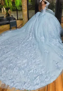 Plus Sized Quince Dresses|Sweet Sixteen^LizLuo Quinceanera 80047