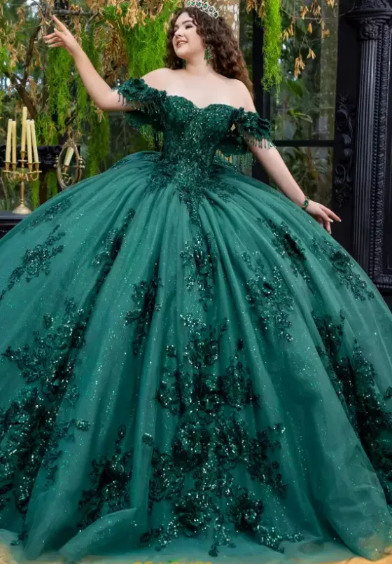 Plus Sized Quince Dresses|Sweet Sixteen^LizLuo Quinceanera 80047