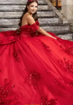 Plus Sized Quince Dresses|Sweet Sixteen^LizLuo Quinceanera 80047