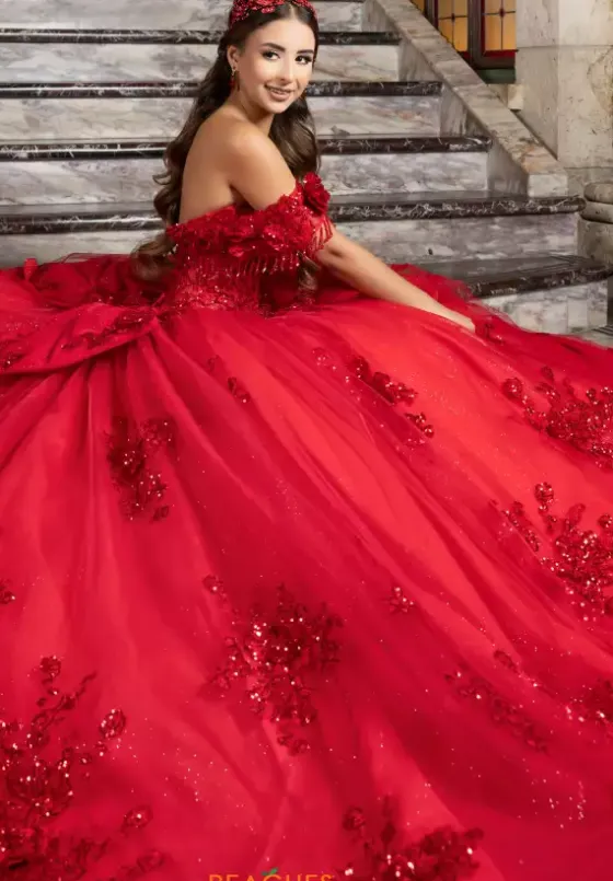 Plus Sized Quince Dresses|Sweet Sixteen^LizLuo Quinceanera 80047