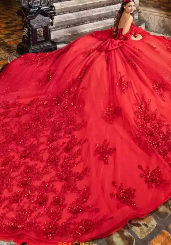 Plus Sized Quince Dresses|Sweet Sixteen^LizLuo Quinceanera 80047