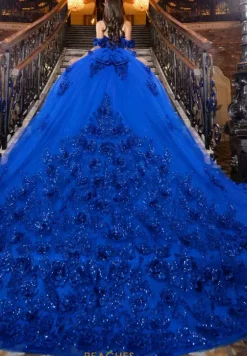 Plus Sized Quince Dresses|Sweet Sixteen^LizLuo Quinceanera 80047