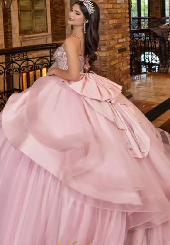 Plus Sized Quince Dresses|Sweet Sixteen^LizLuo Quinceanera 80046