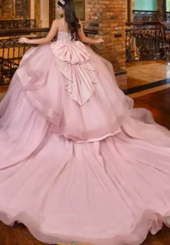 Plus Sized Quince Dresses|Sweet Sixteen^LizLuo Quinceanera 80046