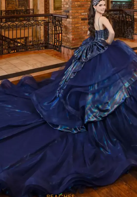 Plus Sized Quince Dresses|Sweet Sixteen^LizLuo Quinceanera 80046