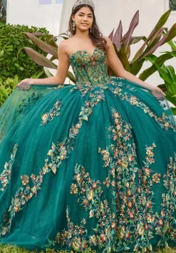Sweet Sixteen|Plus Sized Quince Dresses^LizLuo Quinceanera 56513