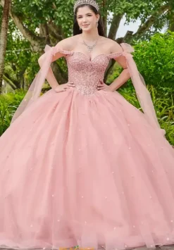 Sweet Sixteen|Plus Sized Quince Dresses^LizLuo Quinceanera 56518