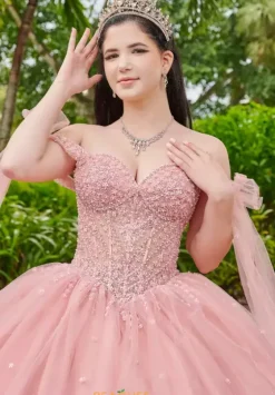 Sweet Sixteen|Plus Sized Quince Dresses^LizLuo Quinceanera 56518