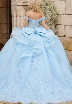 Plus Sized Quince Dresses^LizLuo Quinceanera 26121