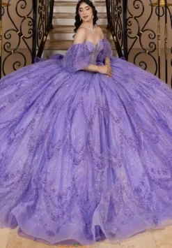 Plus Sized Quince Dresses|Sweet Sixteen^LizLuo Quinceanera 26113