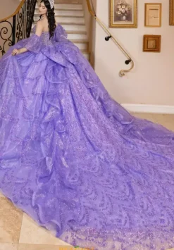 Plus Sized Quince Dresses|Sweet Sixteen^LizLuo Quinceanera 26113