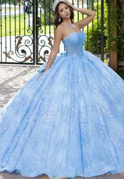Sweet Sixteen|Plus Sized Quince Dresses^LizLuo Quinceanera 56527