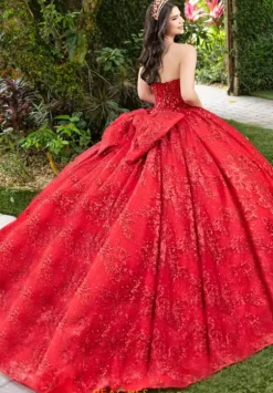 Sweet Sixteen|Plus Sized Quince Dresses^LizLuo Quinceanera 56527