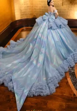 Plus Sized Quince Dresses|Sweet Sixteen^LizLuo Quinceanera 80040