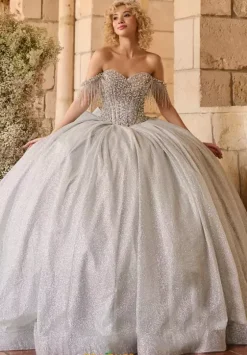 Plus Sized Quince Dresses^LizLuo Quinceanera 26124