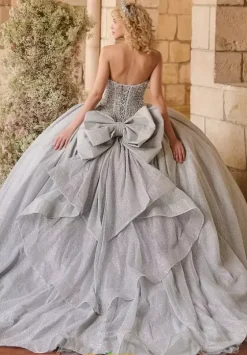 Plus Sized Quince Dresses^LizLuo Quinceanera 26124