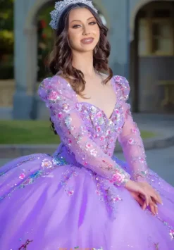 Quince Dresses With Sleeves|Plus Sized Quince Dresses^LizLuo Quinceanera 26093