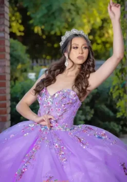 Quince Dresses With Sleeves|Plus Sized Quince Dresses^LizLuo Quinceanera 26093