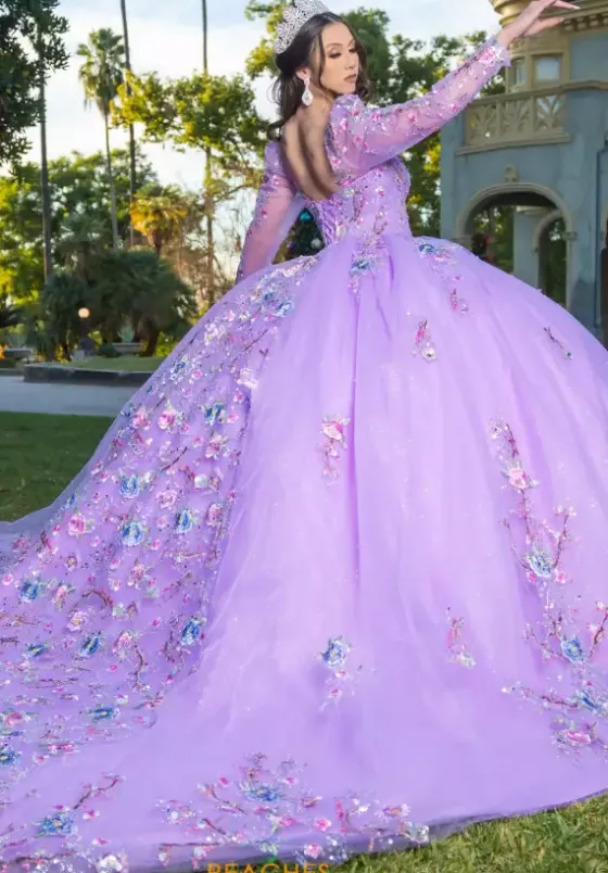 Quince Dresses With Sleeves|Plus Sized Quince Dresses^LizLuo Quinceanera 26093