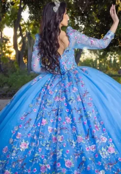 Quince Dresses With Sleeves|Plus Sized Quince Dresses^LizLuo Quinceanera 26093