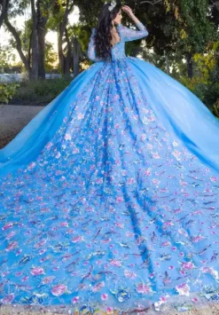 Quince Dresses With Sleeves|Plus Sized Quince Dresses^LizLuo Quinceanera 26093