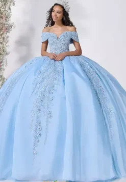 Plus Sized Quince Dresses^LizLuo Quinceanera 80052