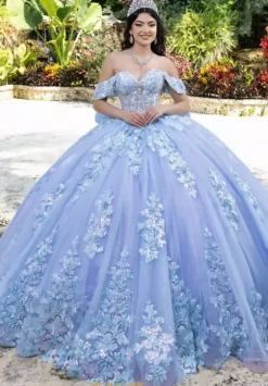 Sweet Sixteen|Plus Sized Quince Dresses^LizLuo Quinceanera 26100