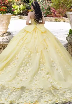 Sweet Sixteen|Plus Sized Quince Dresses^LizLuo Quinceanera 26100