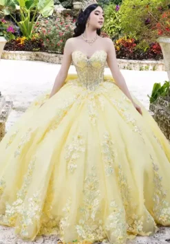 Sweet Sixteen|Plus Sized Quince Dresses^LizLuo Quinceanera 26100