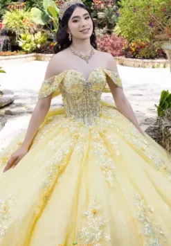 Sweet Sixteen|Plus Sized Quince Dresses^LizLuo Quinceanera 26100