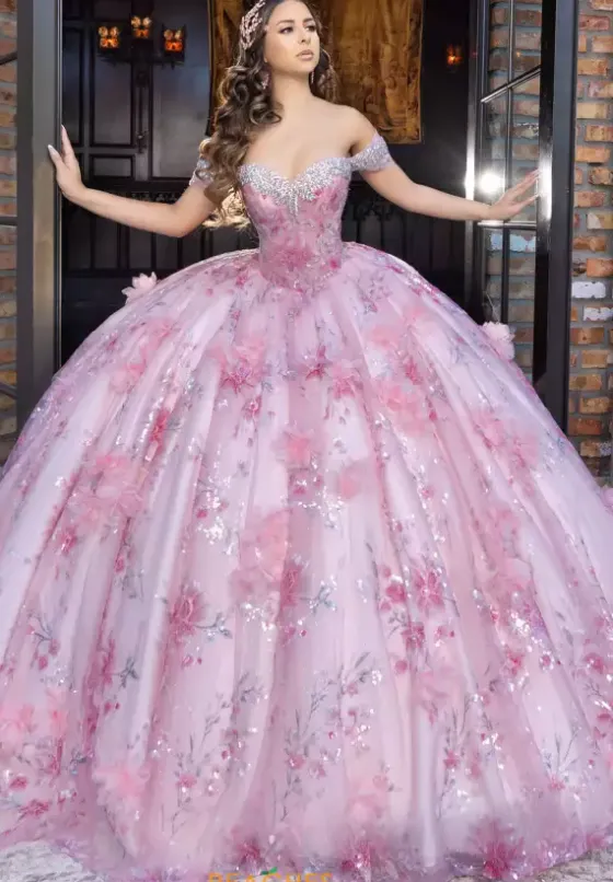 Plus Sized Quince Dresses|Sweet Sixteen^LizLuo Quinceanera 80024