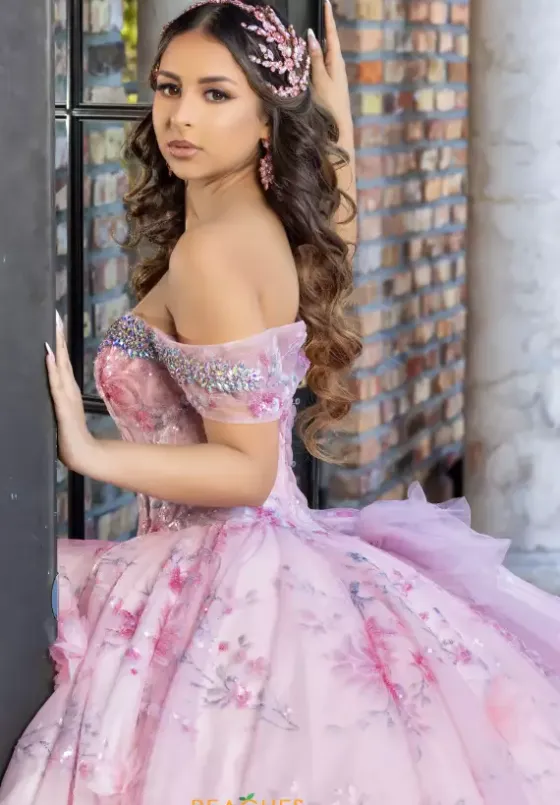 Plus Sized Quince Dresses|Sweet Sixteen^LizLuo Quinceanera 80024