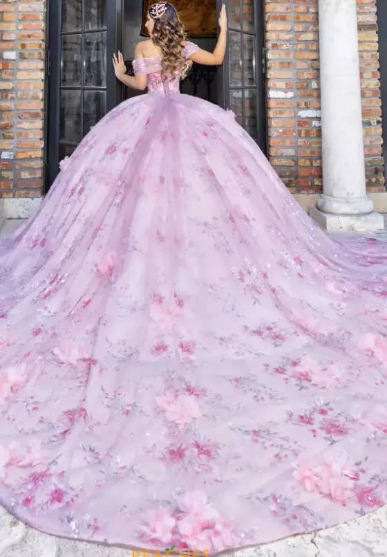 Plus Sized Quince Dresses|Sweet Sixteen^LizLuo Quinceanera 80024