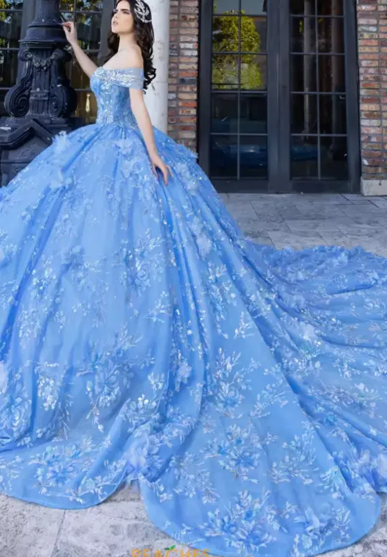 Plus Sized Quince Dresses|Sweet Sixteen^LizLuo Quinceanera 80024