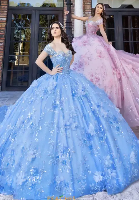 Plus Sized Quince Dresses|Sweet Sixteen^LizLuo Quinceanera 80024