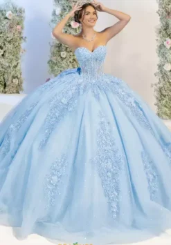 Plus Sized Quince Dresses^LizLuo Quinceanera 56562