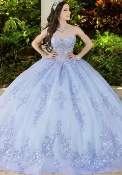 Sweet Sixteen|Plus Sized Quince Dresses^LizLuo Quinceanera 56530