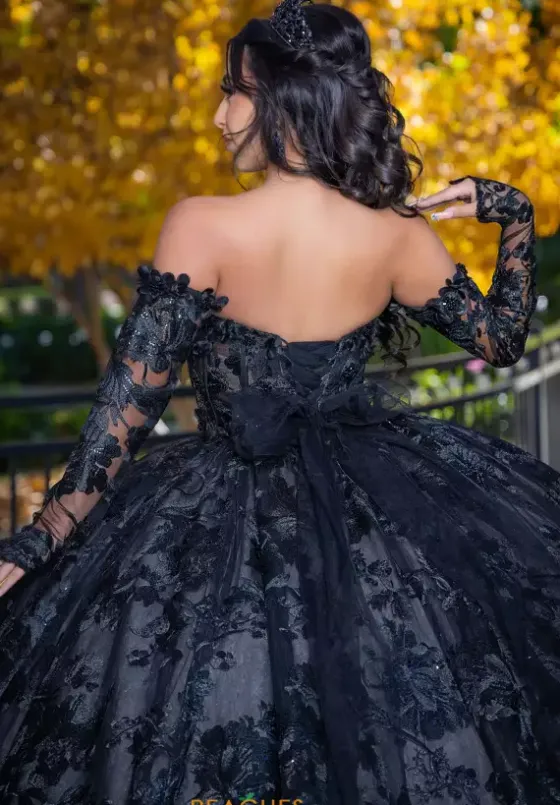 Quince Dresses With Sleeves|Plus Sized Quince Dresses^LizLuo Quinceanera 26092
